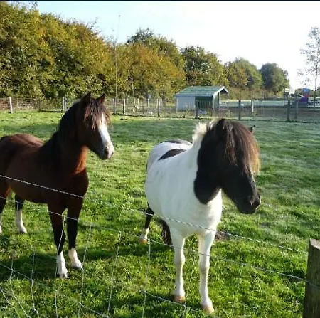 Mobilhome 2 Sdb, Barbecue, Proche Mer, Piscine Campingplatz *