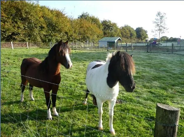 Mobilhome 2 Sdb, Barbecue, Proche Mer, Piscine Campingplads *